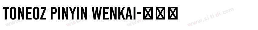 ToneOZ Pinyin WenKai字体转换